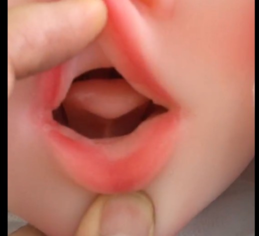 CiCi あごの動き口タイプ。Jaw movement mouth type.